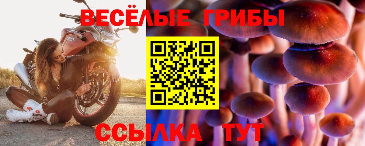 Шарыпово  Галлюциногенные грибы ЛСД  Вход с VPN 